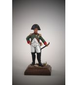 Napoleon Bonaparte - Francie